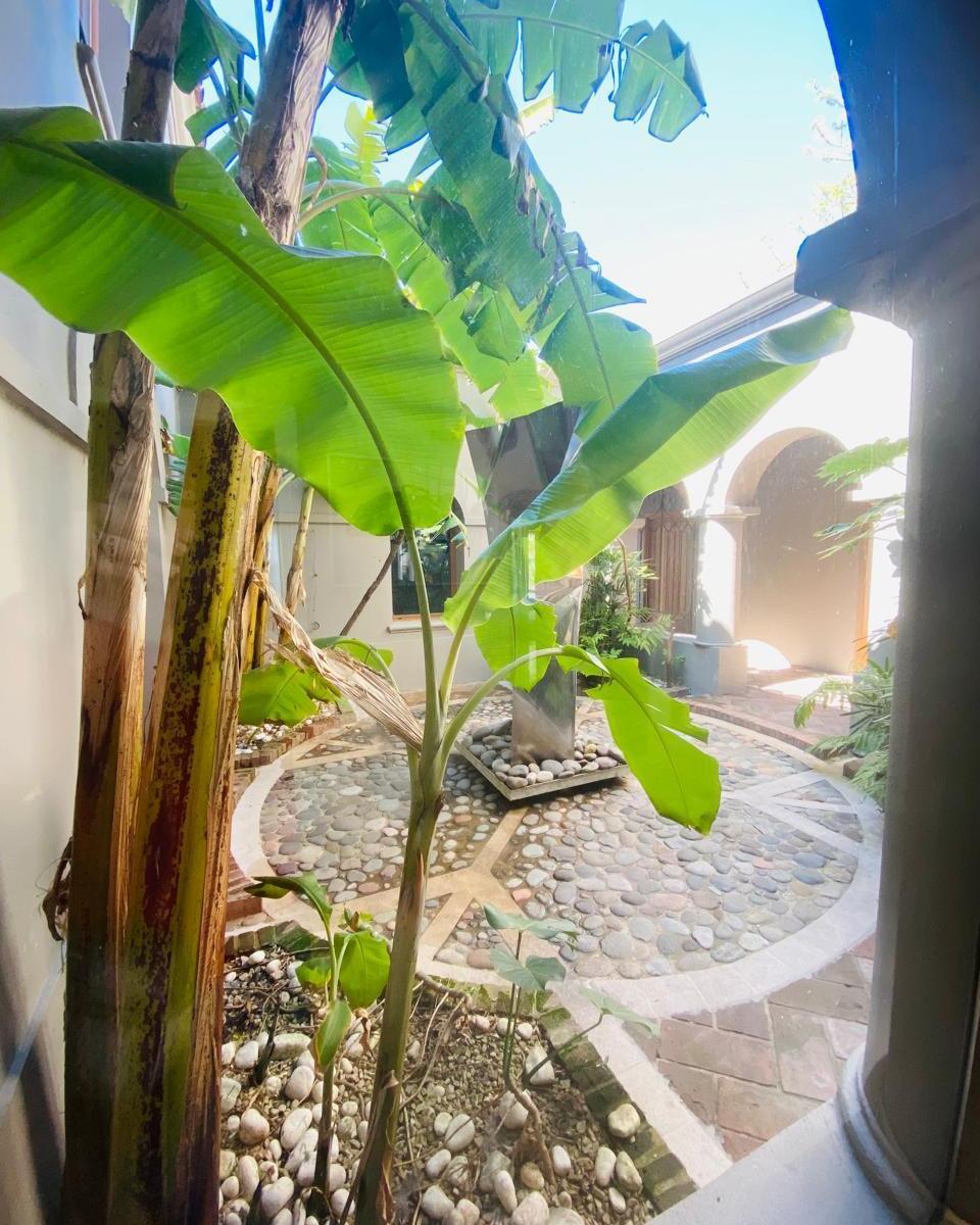 Increíble Casa en Venta Al Lago Central en La Isla Nordelta 3