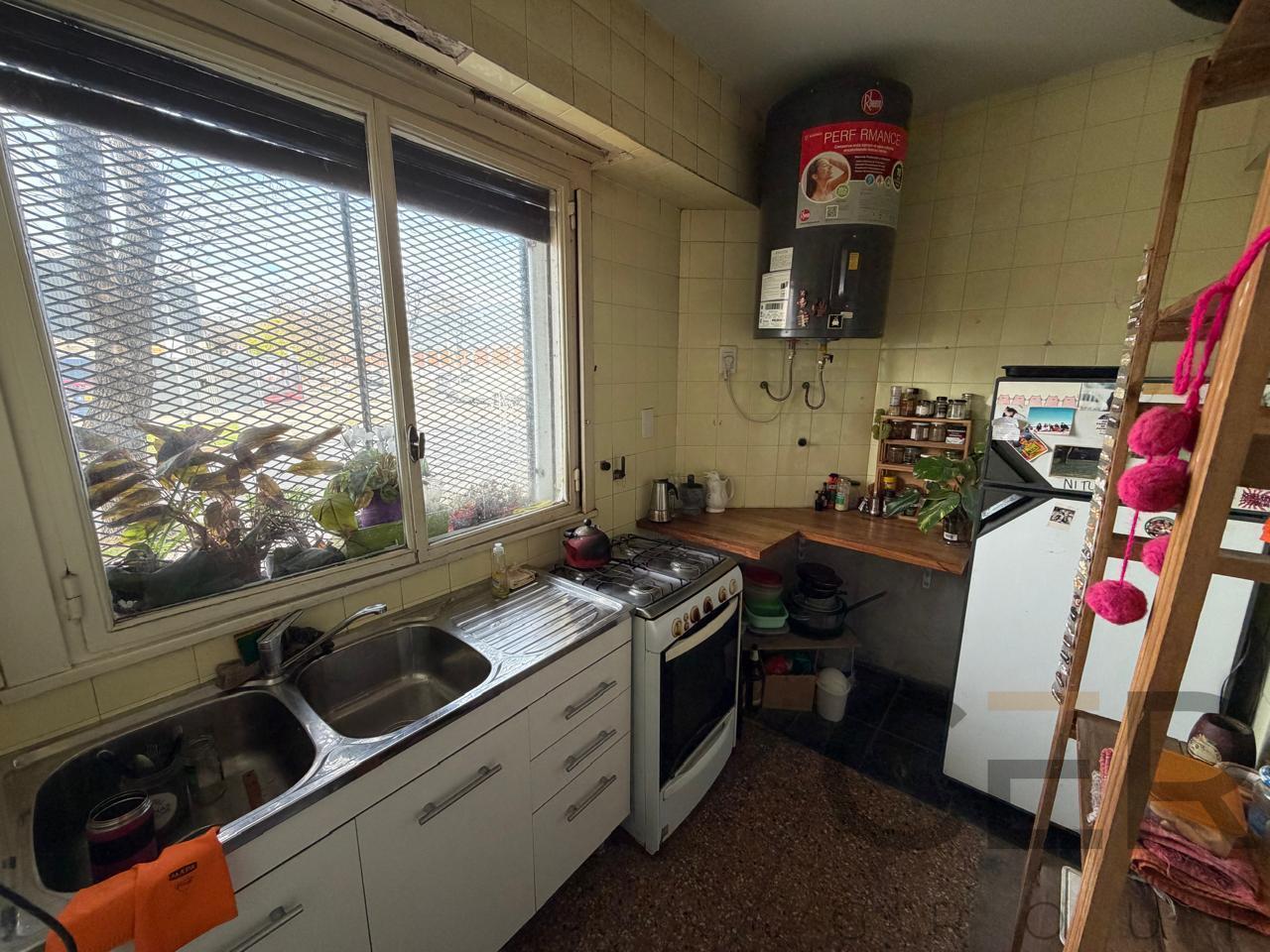 Foto de Departamento - Agronomia, imagen 5