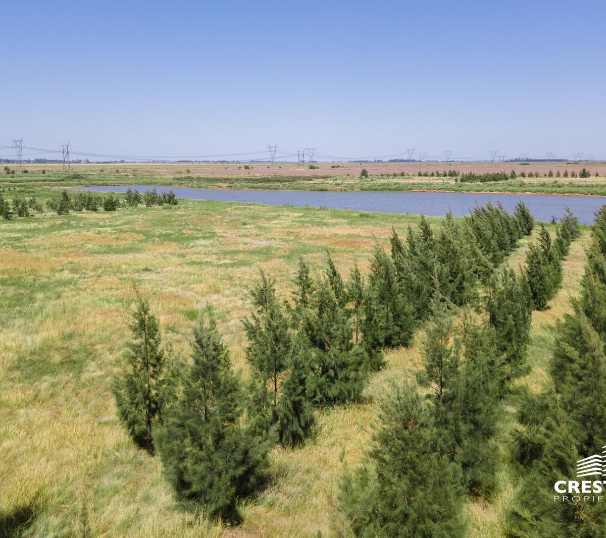 Campo en venta - Haras de Funes