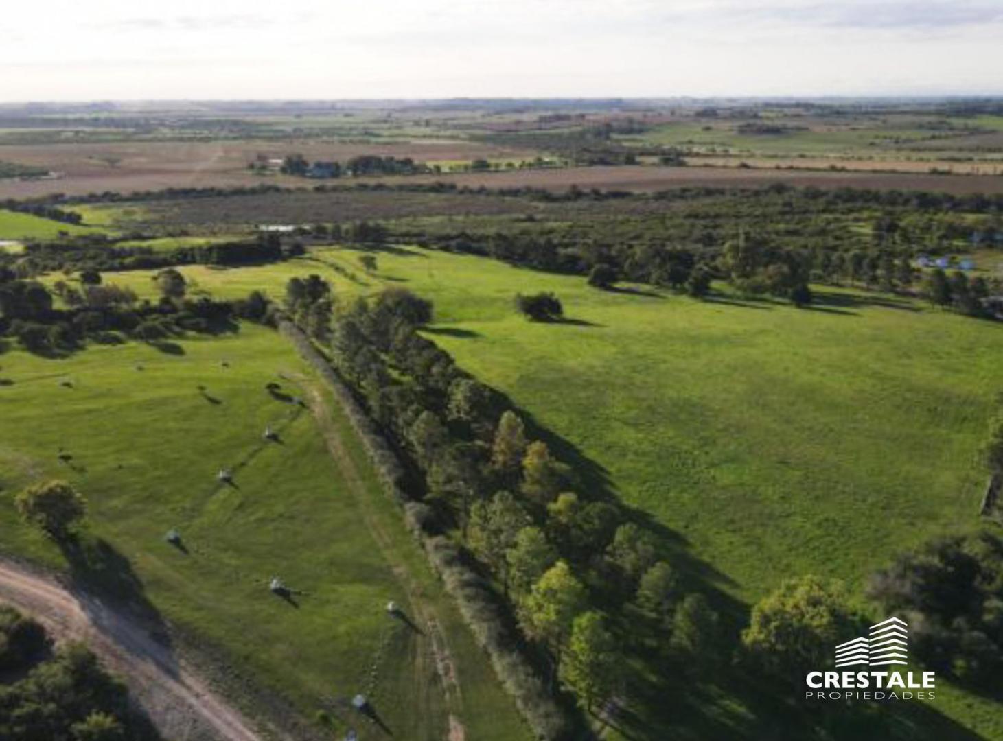 Venta / permuta | Campo 49,76 Ha | Victoria, Entre Ríos