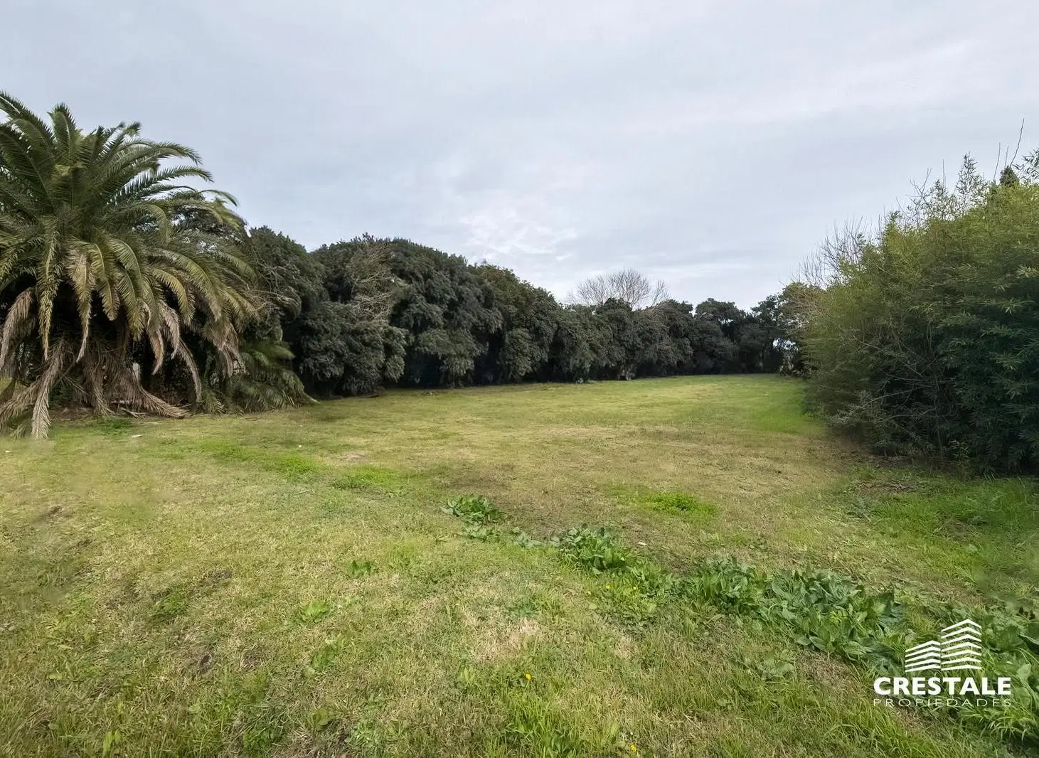 Venta - Terreno / lote de 741 m2 - Los Morros, Funes. 2