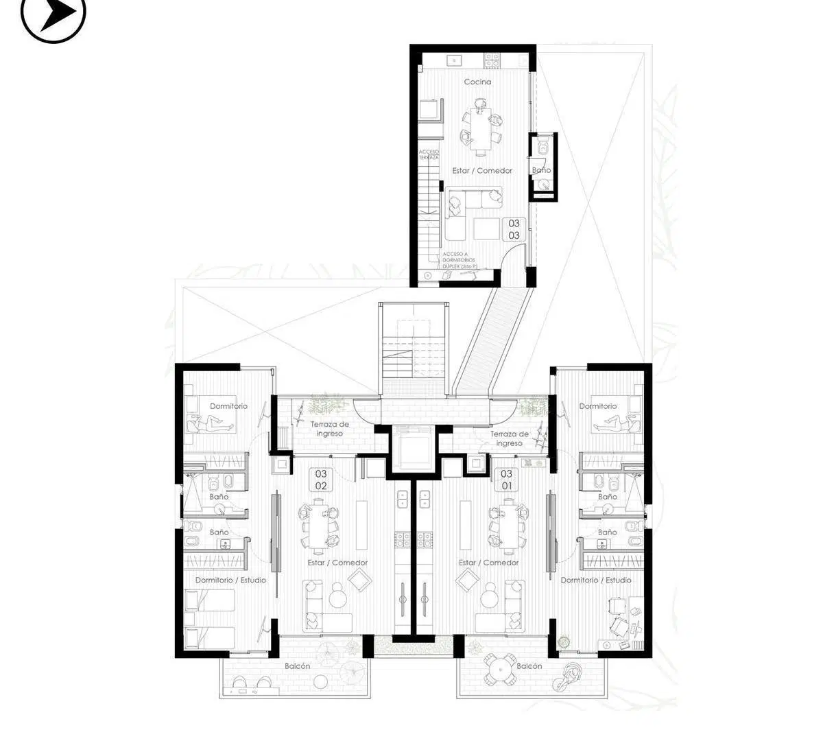 Plano 5