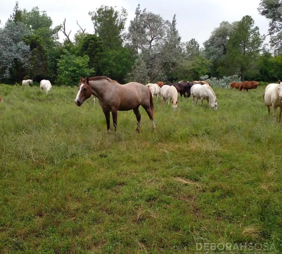 Terreno en venta en el Cazador, Escobar. Excelente ubicación. 2