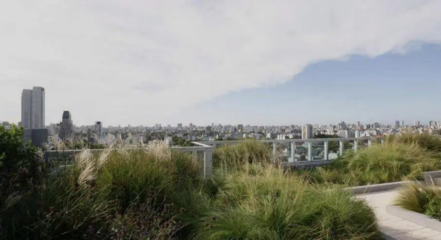 Oficinas en Alquiler | Arevalo 1840 | Palermo Hollywood 2