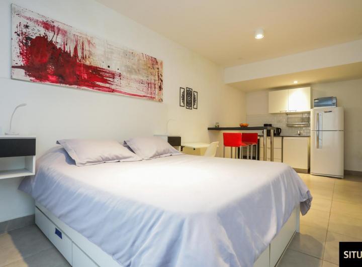 Departamento Amoblado en Alquiler Palermo 1