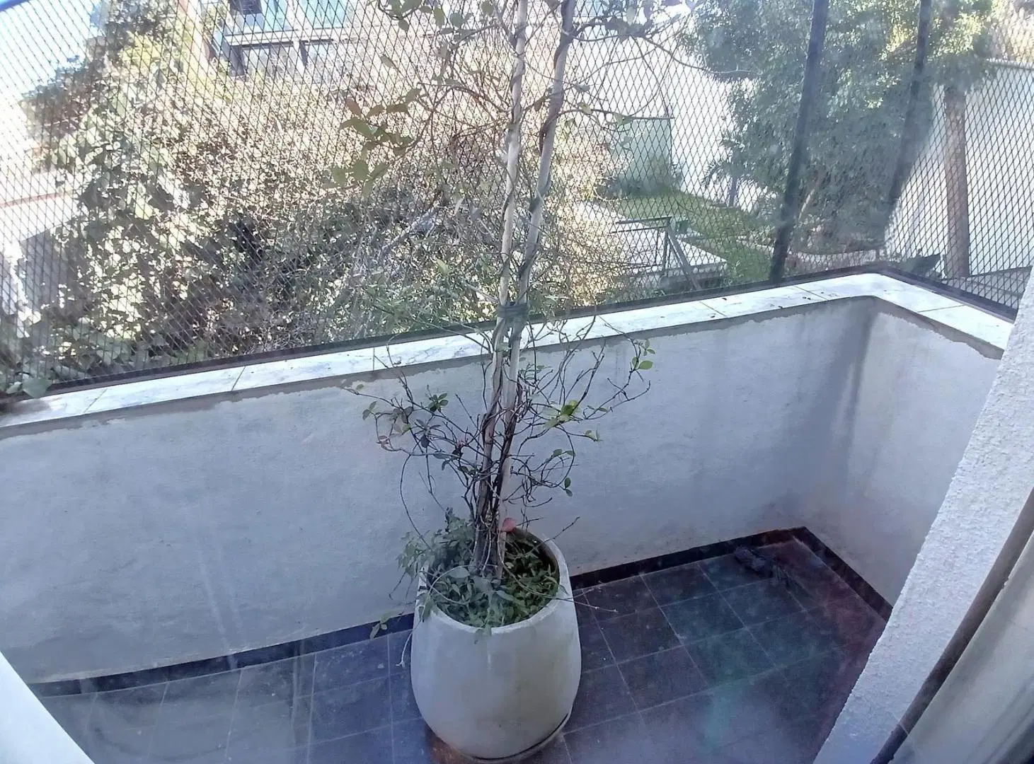 VENTA Casa 9 Ambientes con jardin, pileta, ascensor, cocheras, terrazas, parilla Núñez APTO CREDITO 4