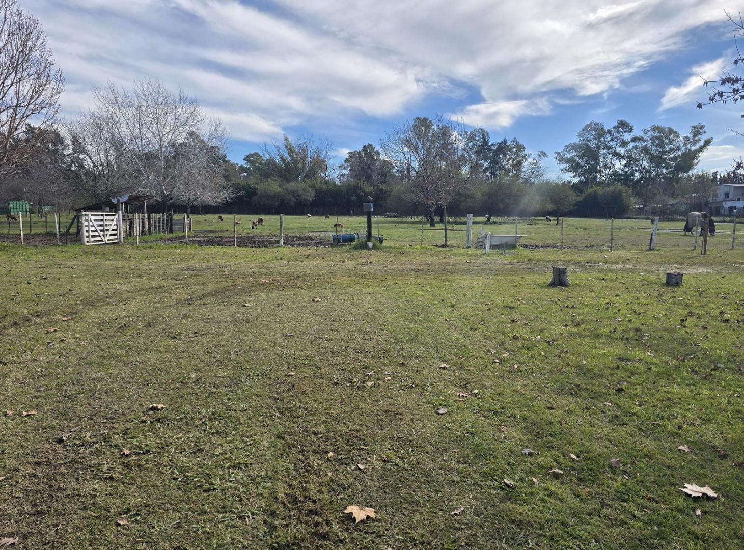 Fracción de 15.000 m2 en zonificación R1A - FOT: 1,2 - FOS: 0,6