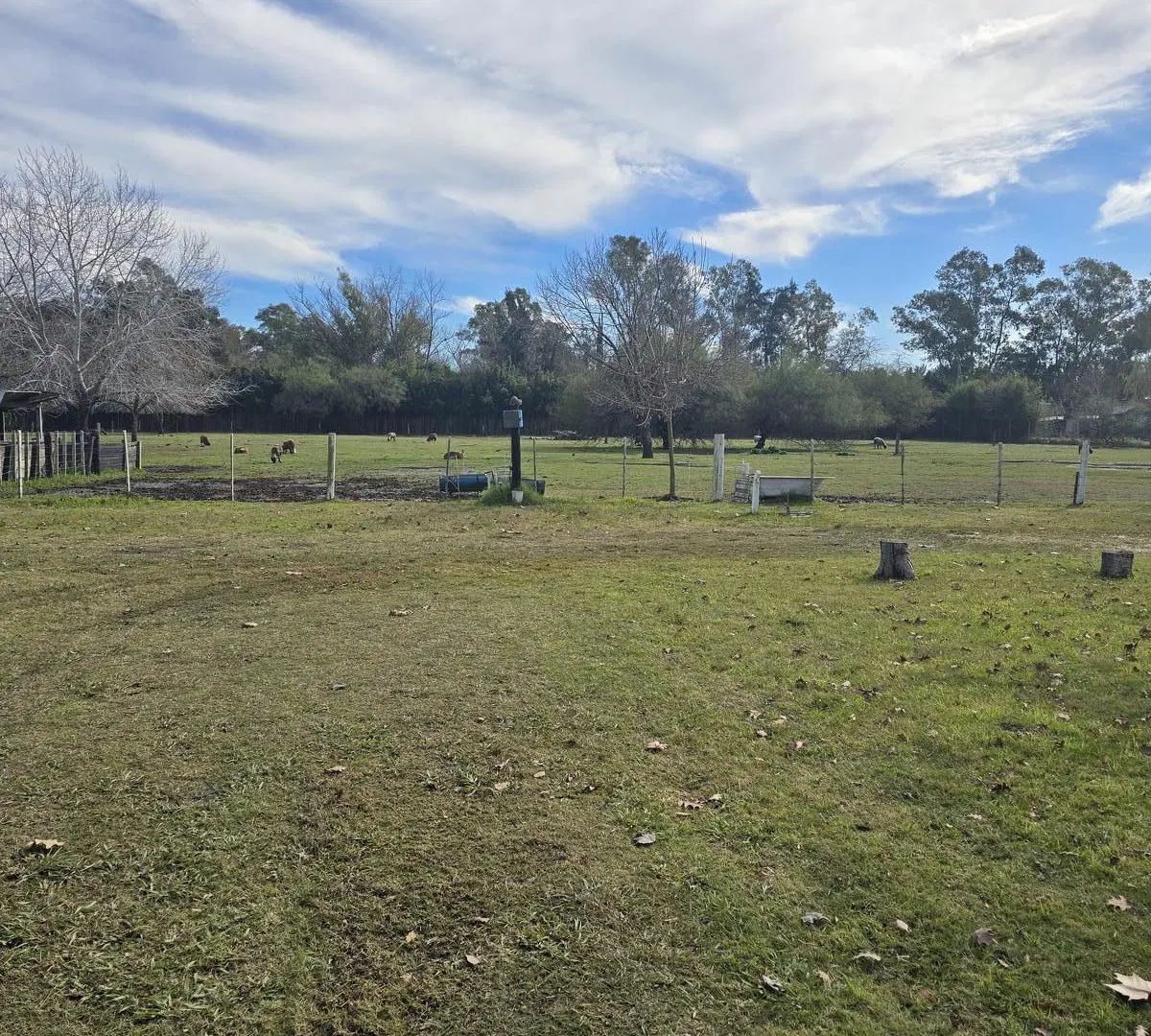 Fracción de 15.000 m2 en zonificación R1A - FOT: 1,2 - FOS: 0,6 8