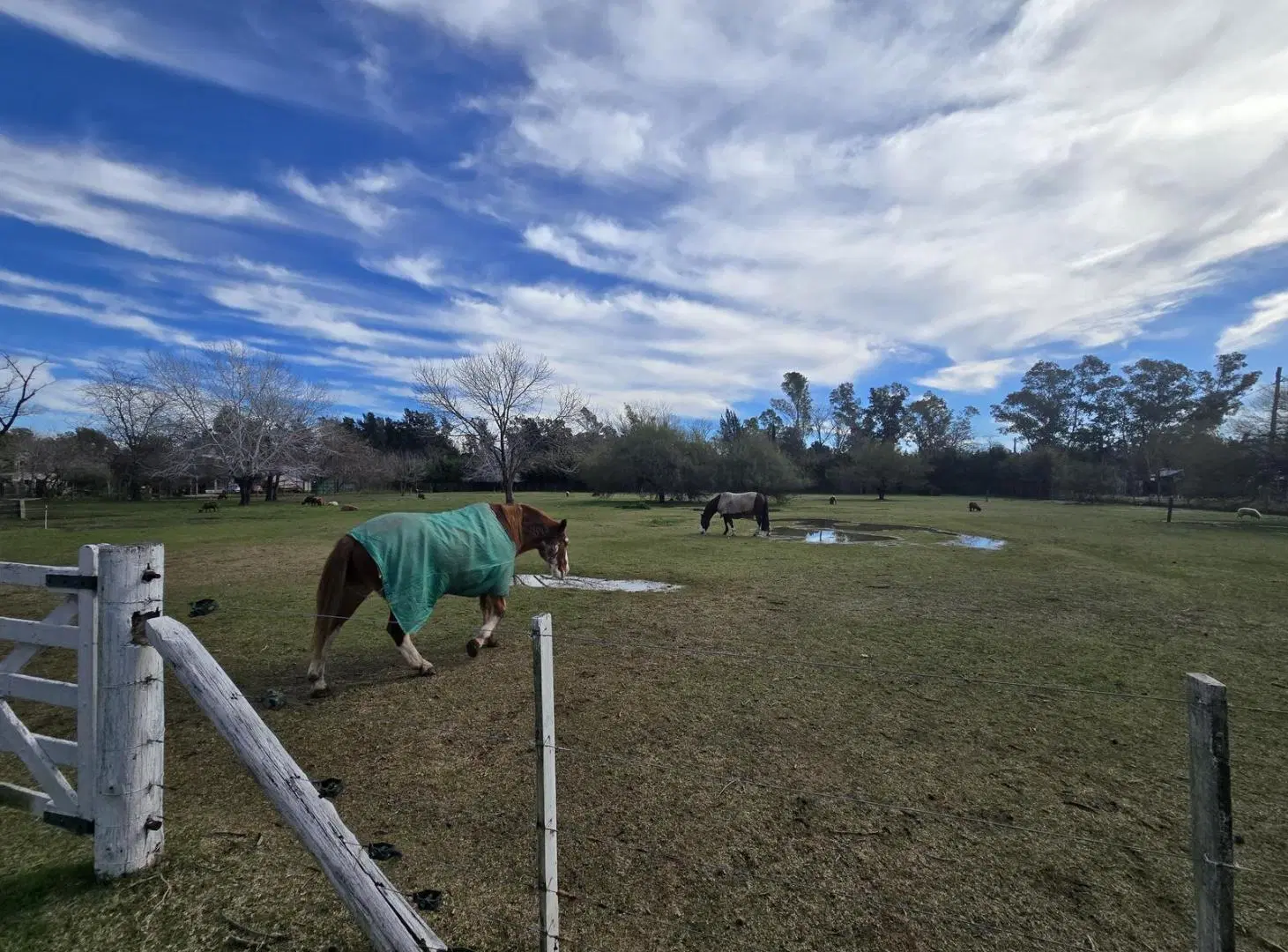 Fracción de 15.000 m2 en zonificación R1A - FOT: 1,2 - FOS: 0,6 4