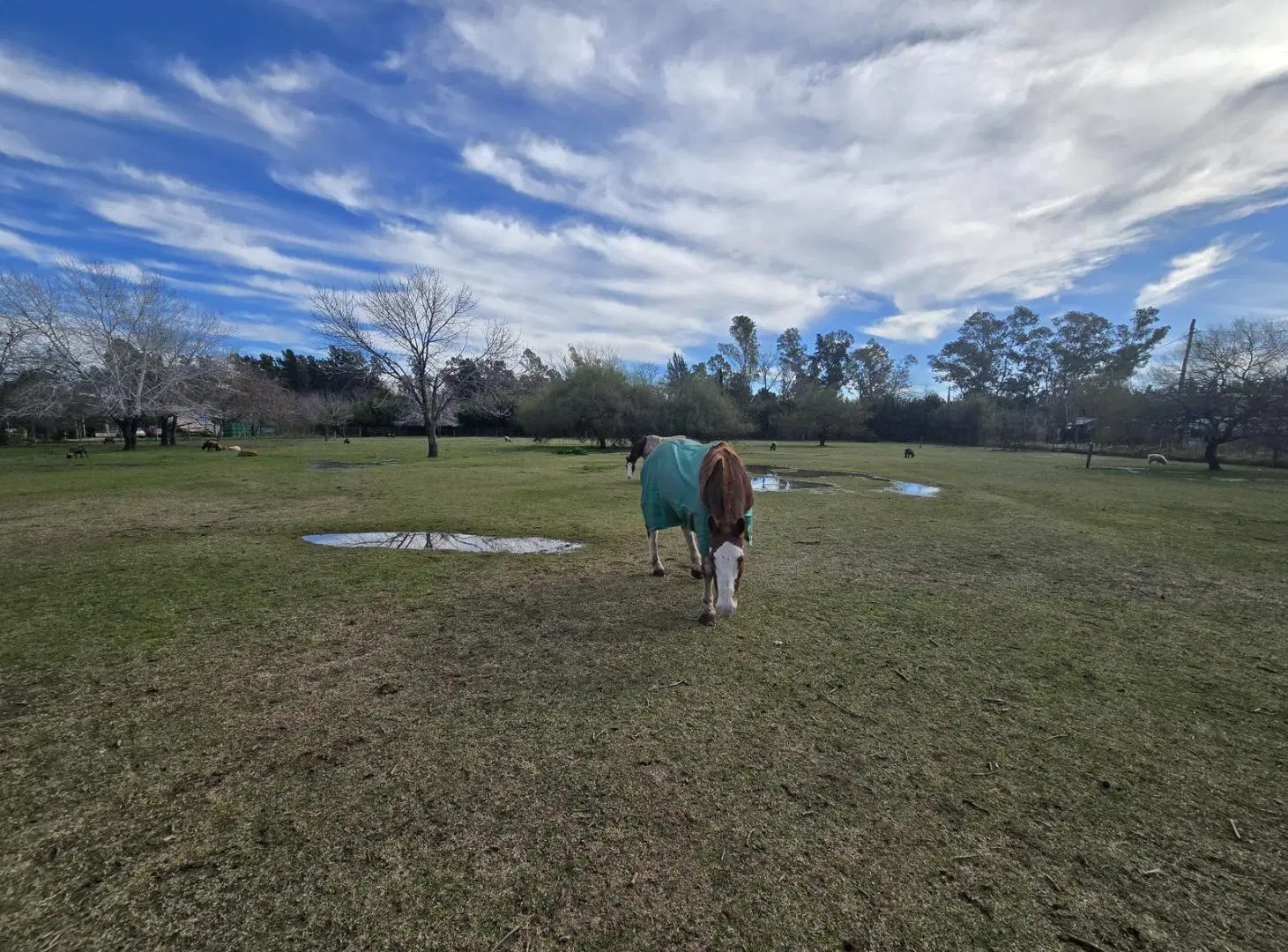 Fracción de 15.000 m2 en zonificación R1A - FOT: 1,2 - FOS: 0,6 1