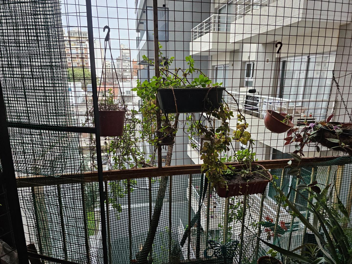 Foto de DEPARTAMENTO 3 AMBIENTES, imagen 3