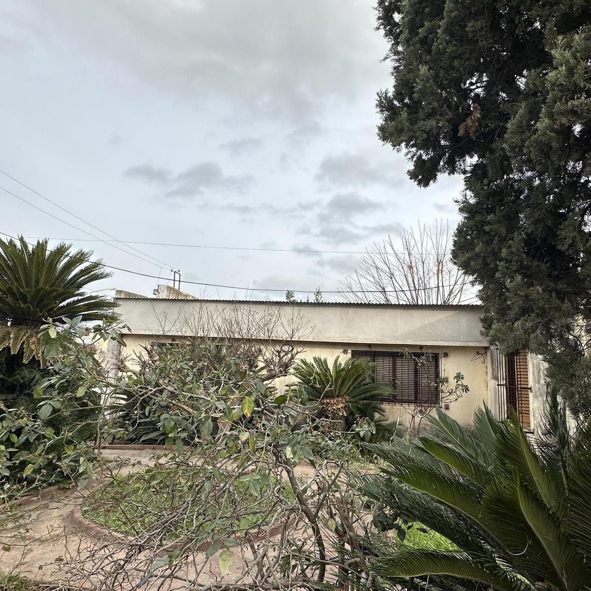 Casa - Lobos 2