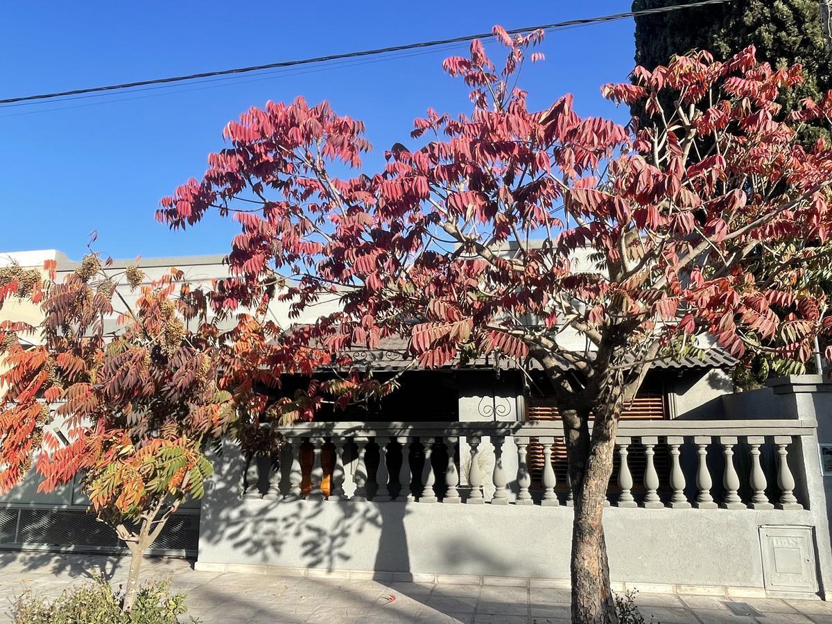 Venta Casa con 2 Habitaciones, Jardín en Lobos 3