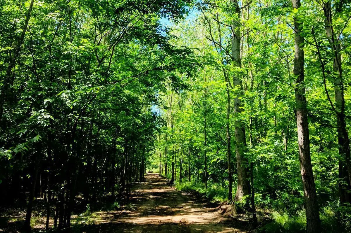 UNICO! Lote de 3687m2 en La Araucaria, Salvador Maria, Lobos OPORTUNIDAD 2