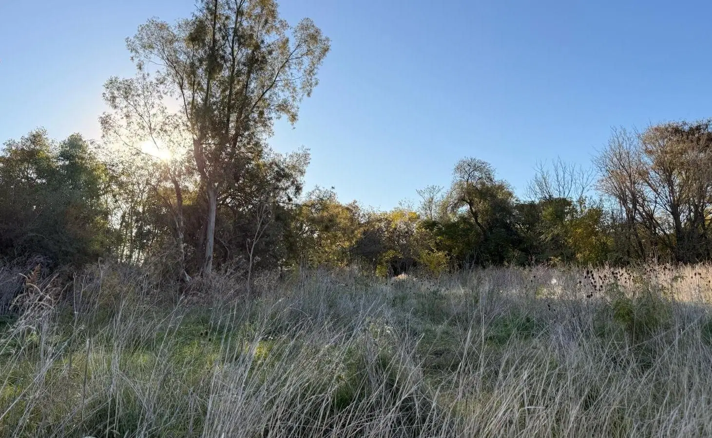 Si soñás con vivir en el campo, este puede ser tu lugar! Zapiola 2