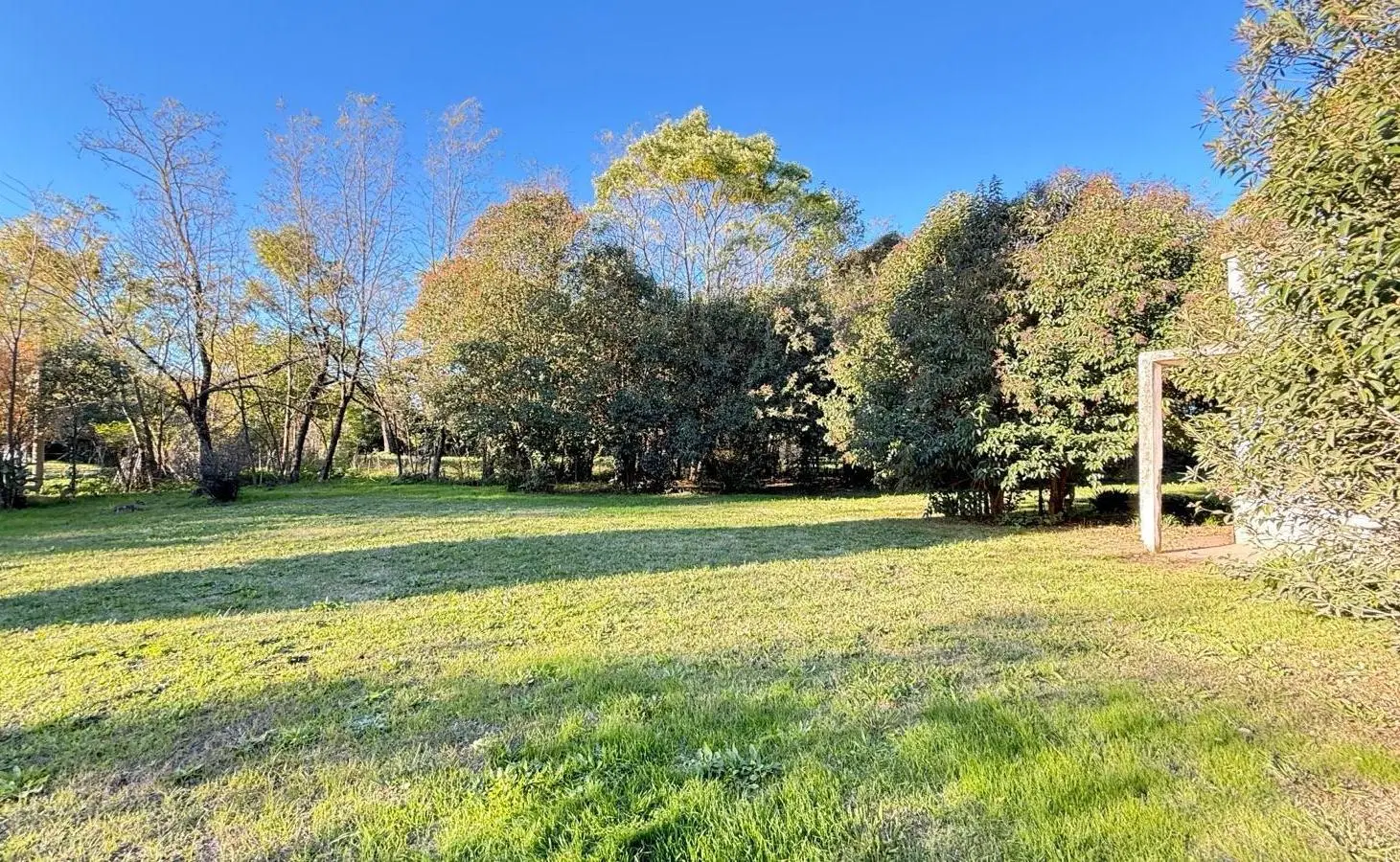 Si soñás con vivir en el campo, este puede ser tu lugar! Zapiola 5