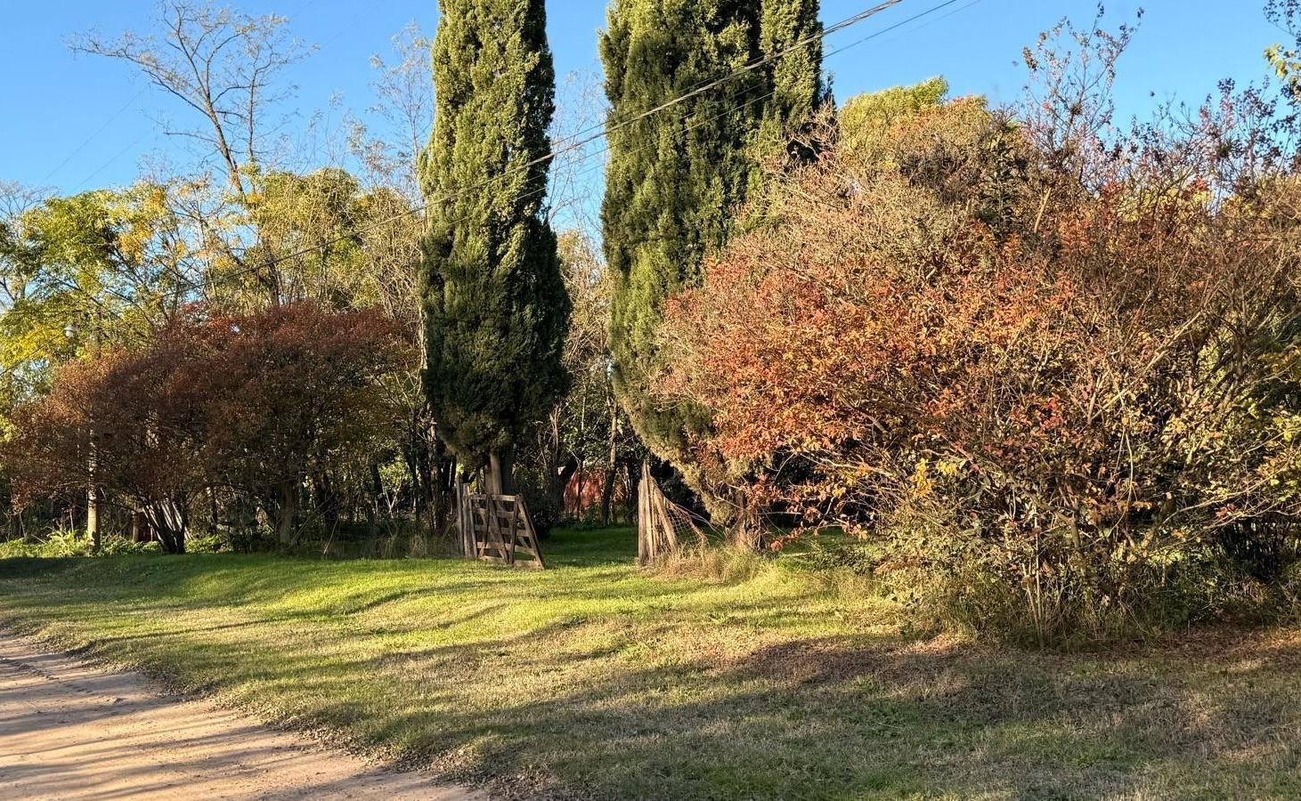 Si soñás con vivir en el campo, este puede ser tu lugar! Zapiola