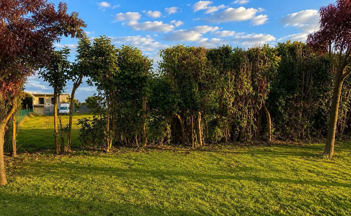 Un lugar para empezar a construir tus sueños, terreno de 580m2 con servicios | Lobos 4