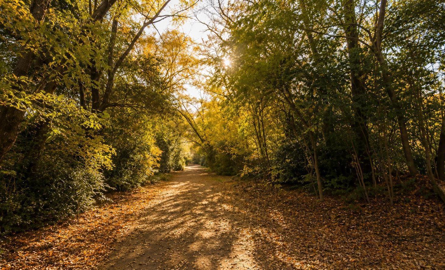 Foto de Viví la experiencia de despertar cada día rodeado de naturaleza, aire, imagen 3
