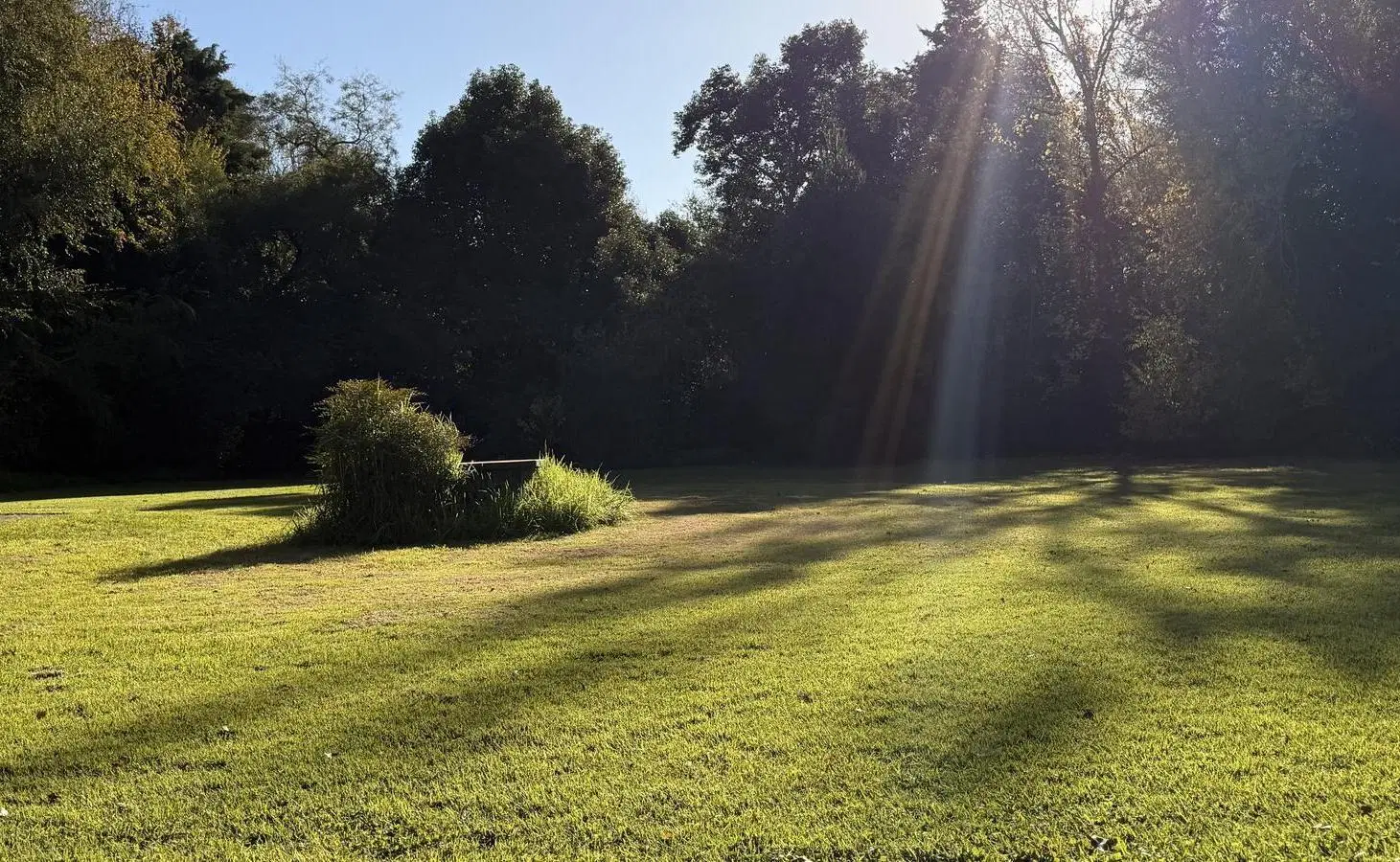Viví la experiencia de despertar cada día rodeado de naturaleza, aire puro y la serenidad 5