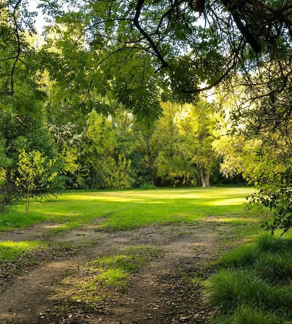 Viví la experiencia de despertar cada día rodeado de naturaleza, aire puro y la serenidad 4