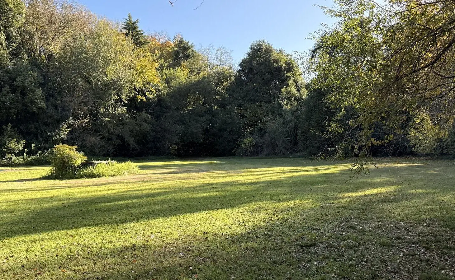 Viví la experiencia de despertar cada día rodeado de naturaleza, aire puro y la serenidad 3