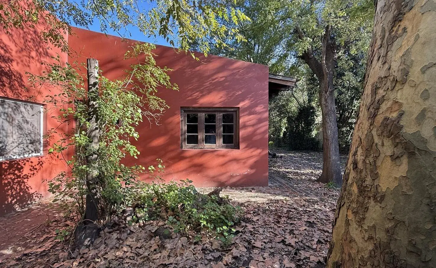 Casa quinta estilo campo en el corazón de Villa Loguercio ¡a solo unos pasos de la laguna! 2