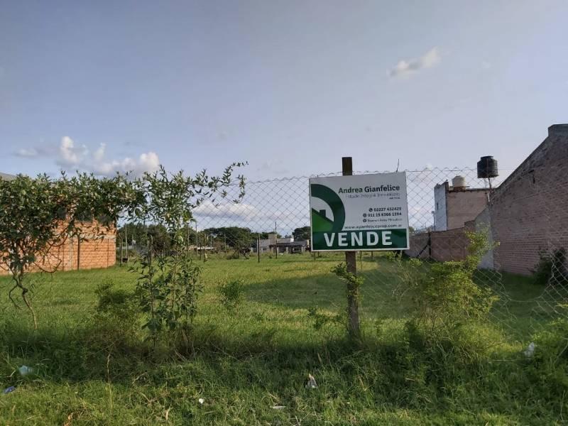 Foto de Venta terreno en Lobos, imagen 2
