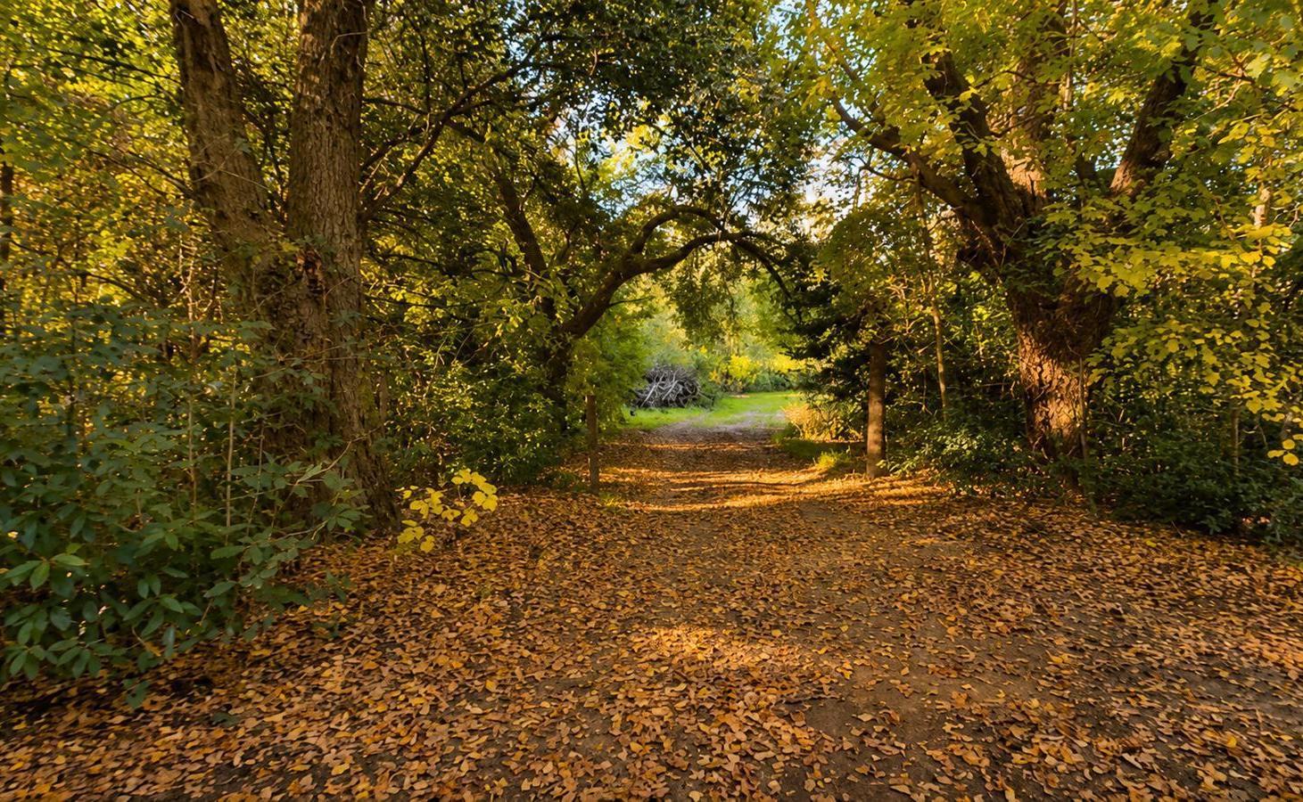 Foto de Viví la experiencia de despertar cada día rodeado de naturaleza, aire, imagen 3