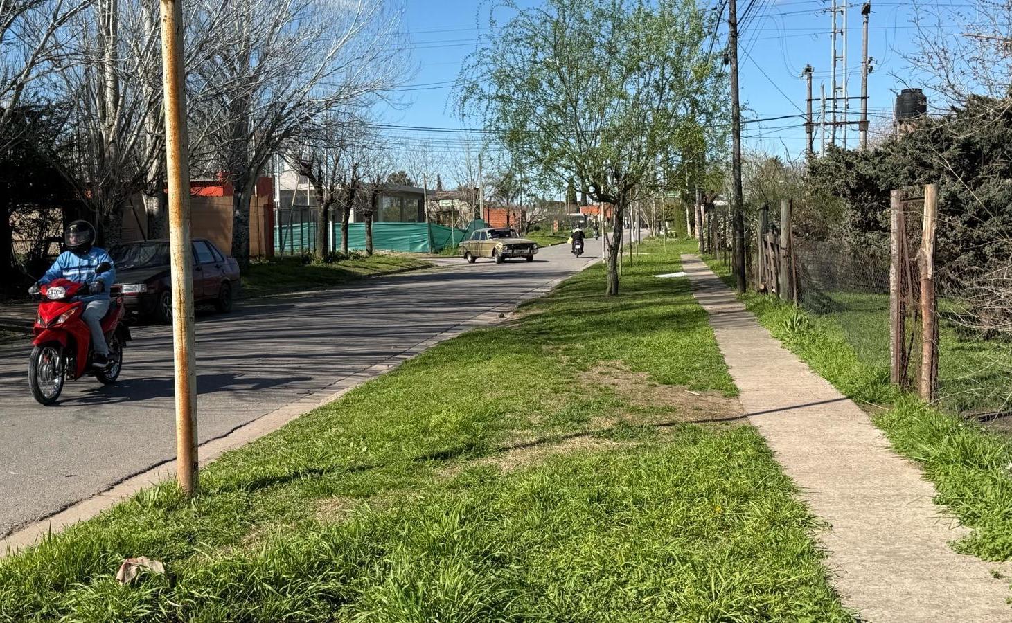 Foto de No puedes dejar pasar este increíble terreno de 436 m², imagen 3