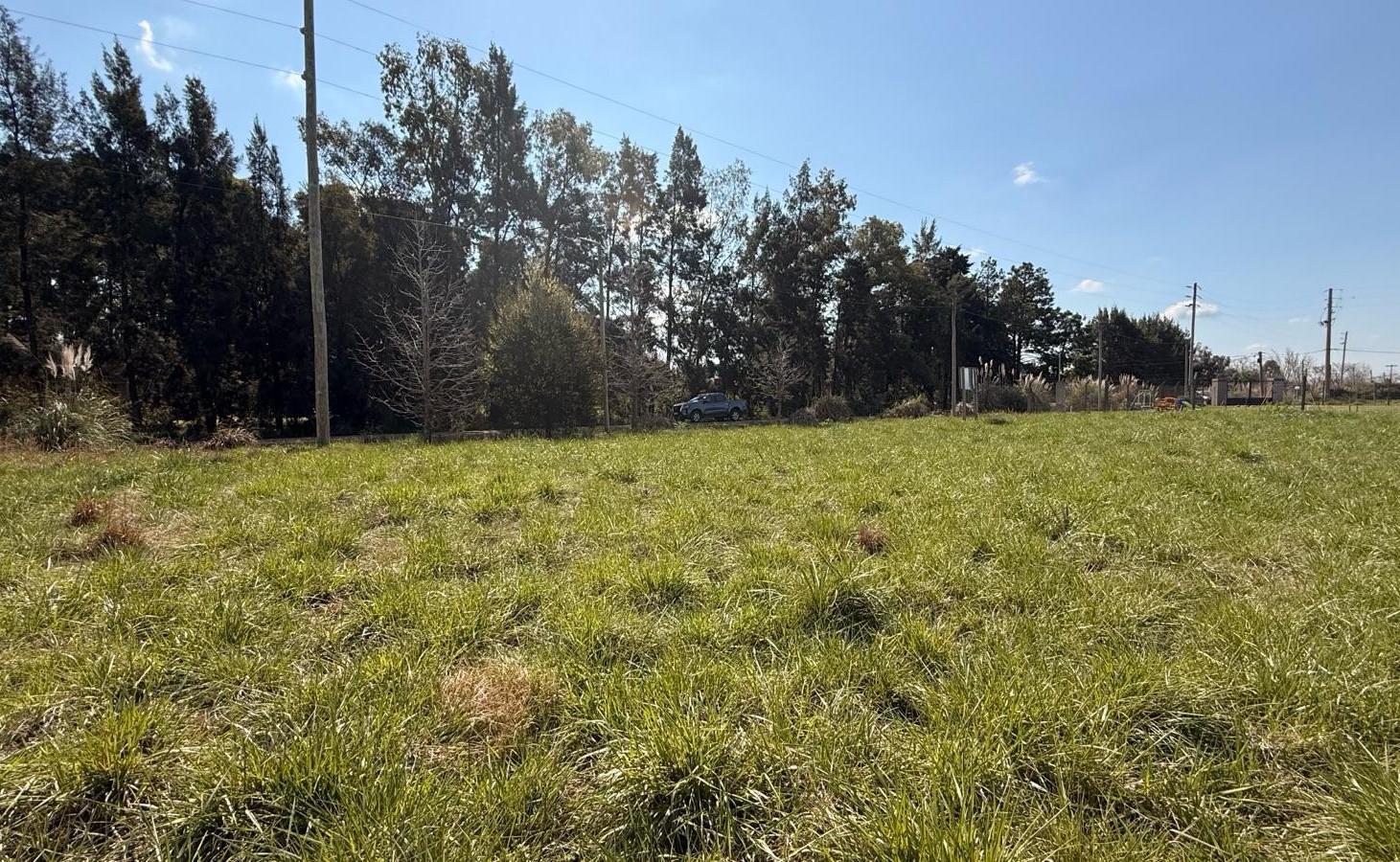 Foto de Una oportunidad para quienes buscan espacio, naturaleza y tranquilidad, imagen 2