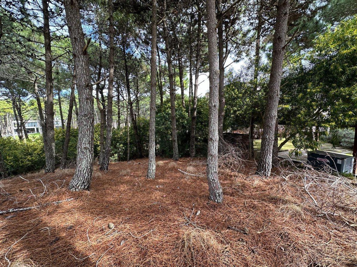 Lote en Venta Villa Robles Barrio Brisas 2