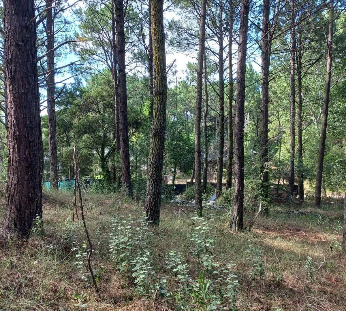 Lote en Venta Zona Residencial Cariló 3
