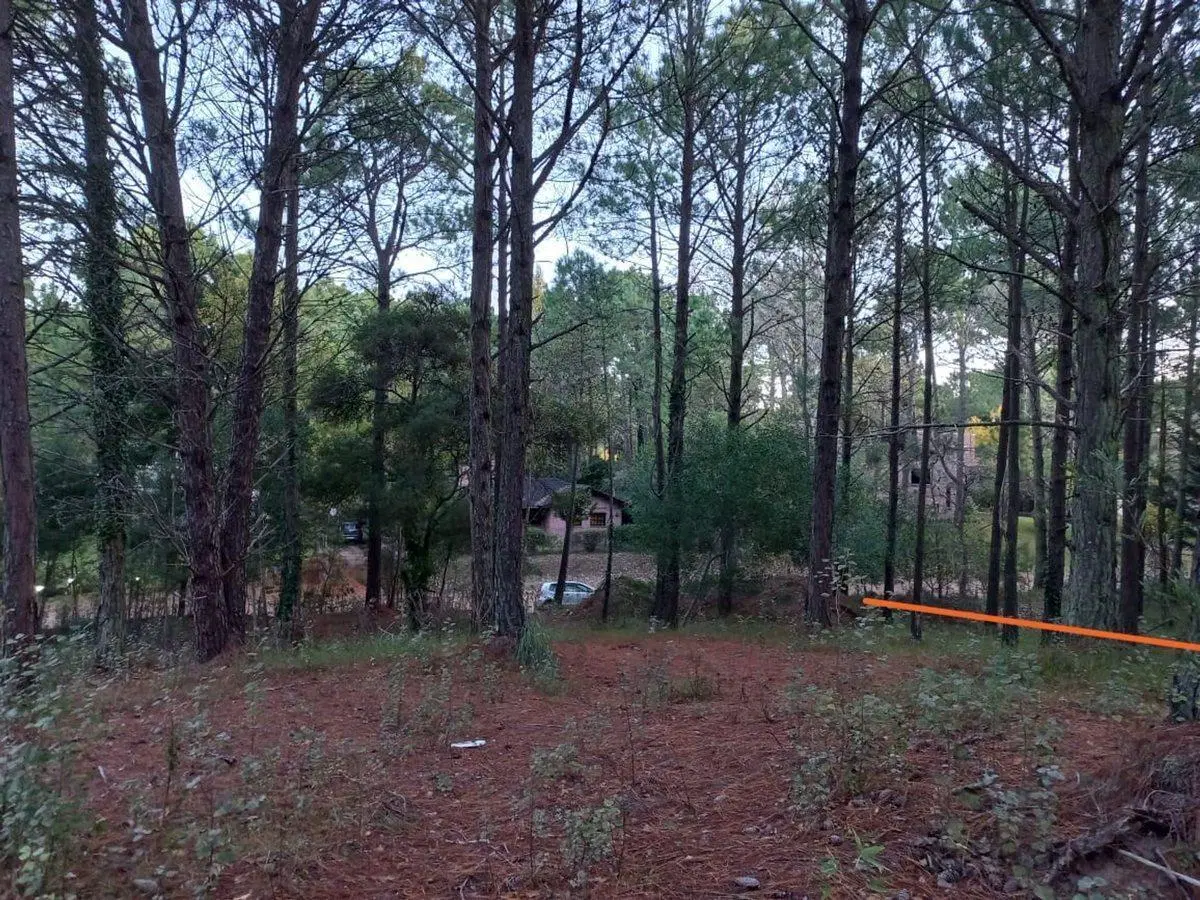 Lote en Venta Zona Residencial Cariló 2