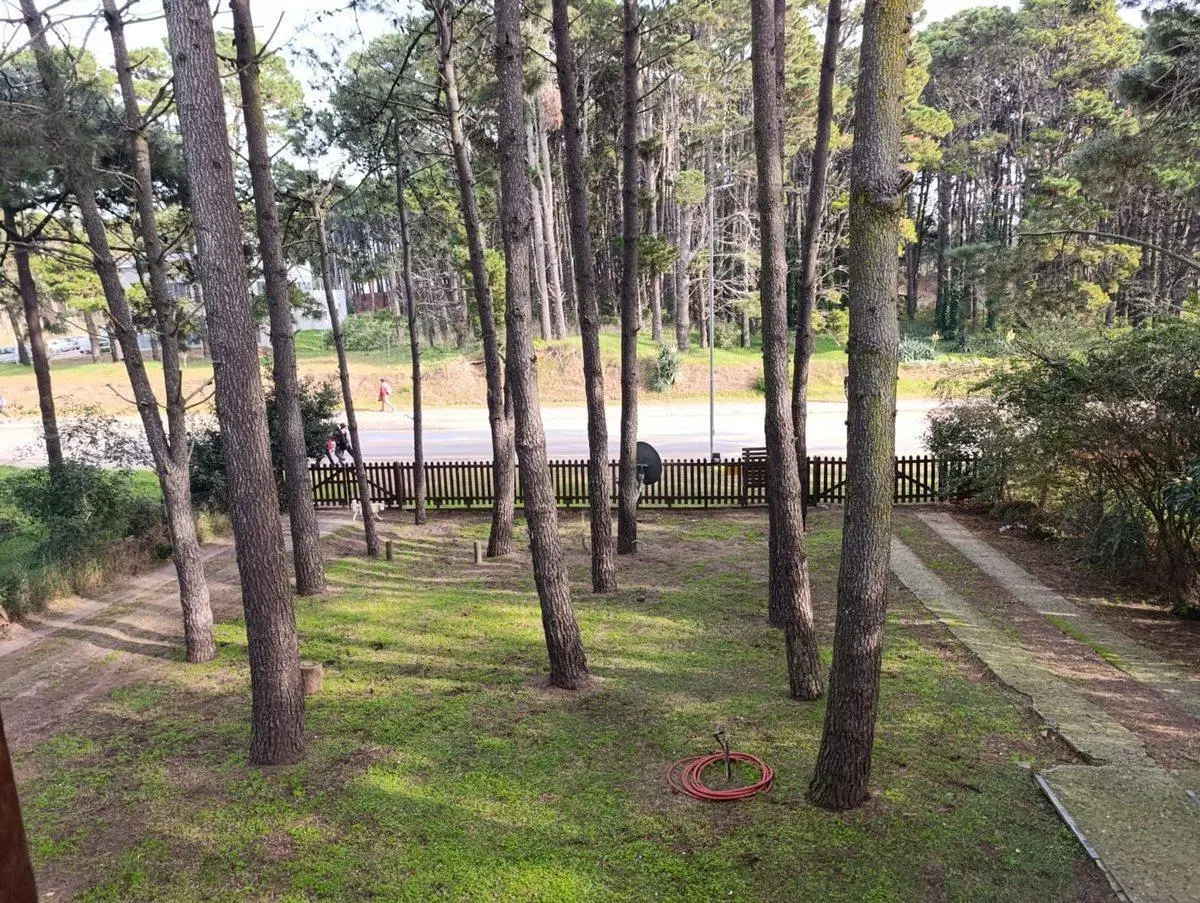VENTA 4 DEPARTAMENTOS MAS LOTE PINAMAR 5