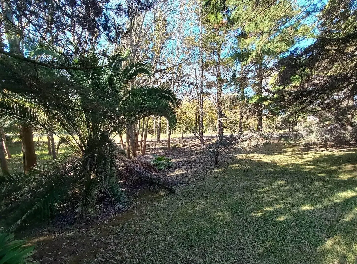 LOTE VENTA EN CARILO SOBRE AVENIDA DIVISADERO 2