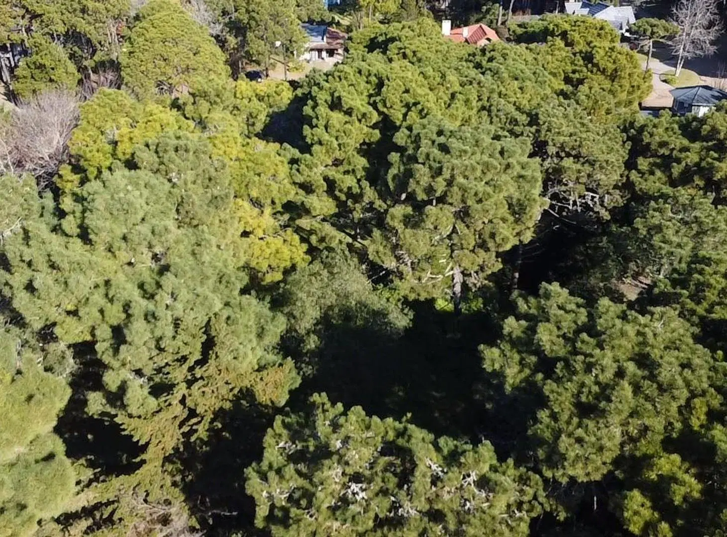 LOTE EN VENTA PINAMAR ZONA B5 A PASOS DEL MAR 4