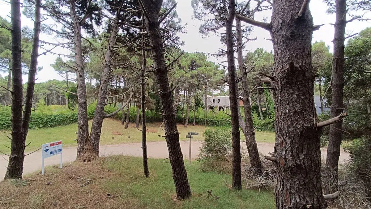 VENTA LOTE PINAMAR 3