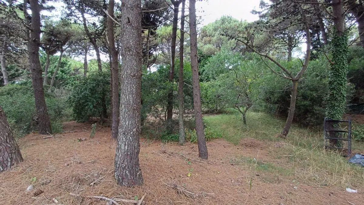 VENTA LOTE PINAMAR 5