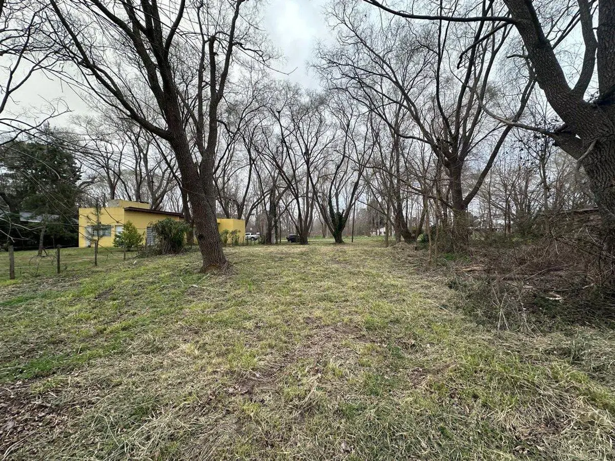 LOTE VENTA EN COSTA DEL ESTE ZONA DE BOSQUE 4