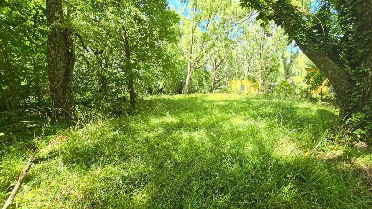 LOTE VENTA EN COSTA DEL ESTE ZONA DE BOSQUE 3