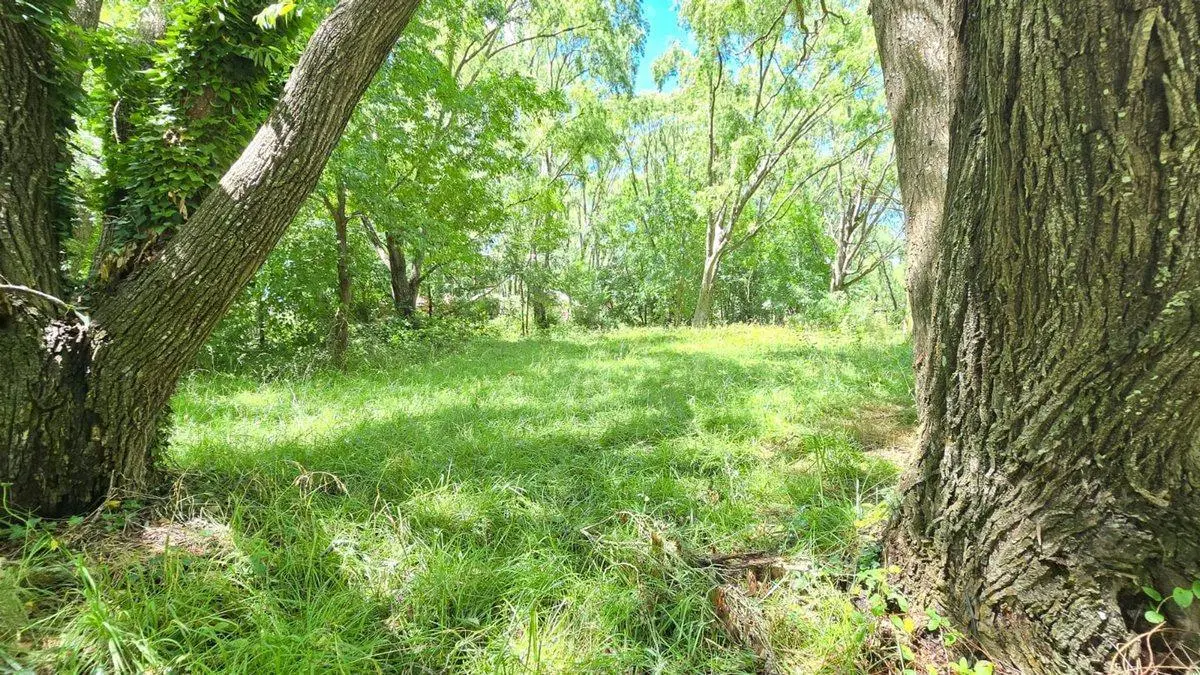 LOTE VENTA EN COSTA DEL ESTE ZONA DE BOSQUE 2