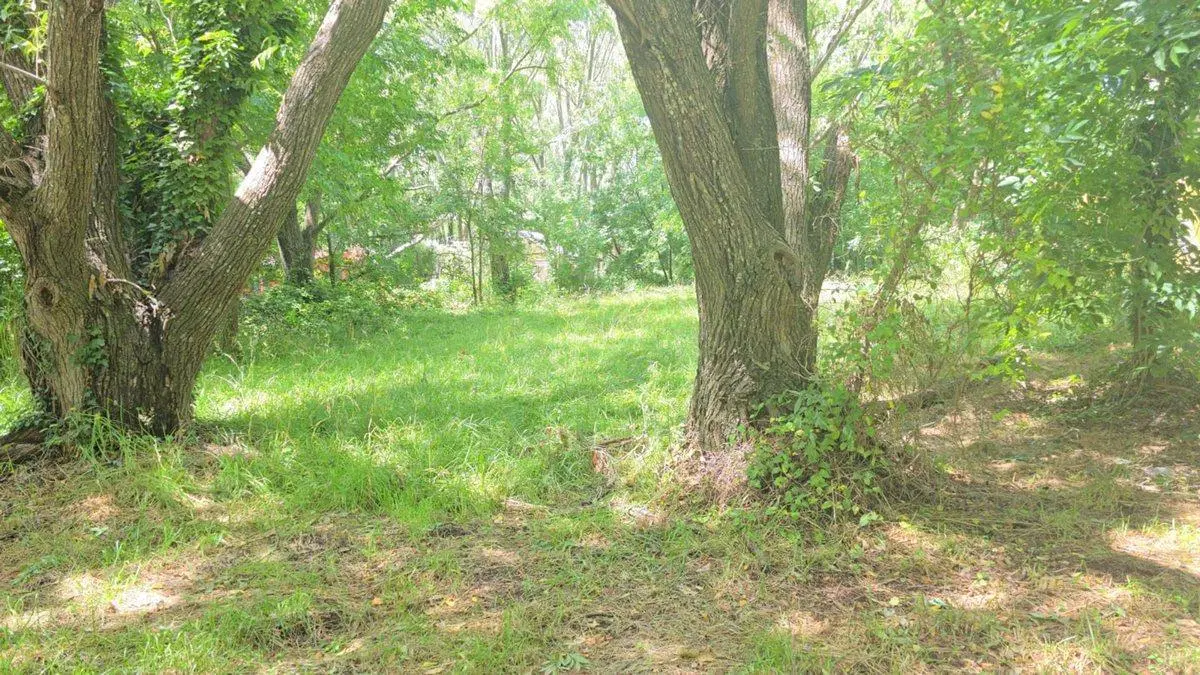 LOTE VENTA EN COSTA DEL ESTE ZONA DE BOSQUE 5