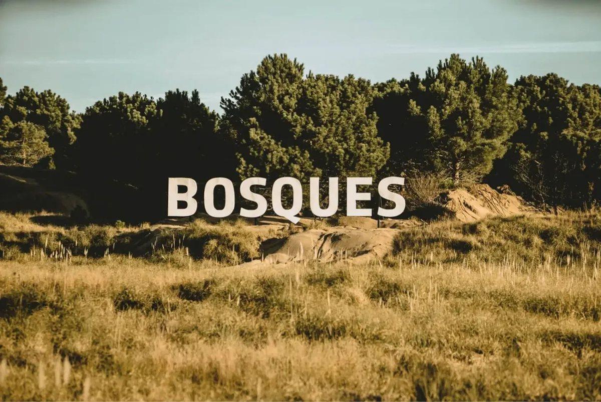 VENTA LOTE BOSQUES ETAPA 1