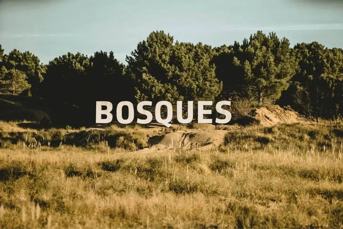 VENTA LOTE BOSQUES ETAPA 1 4