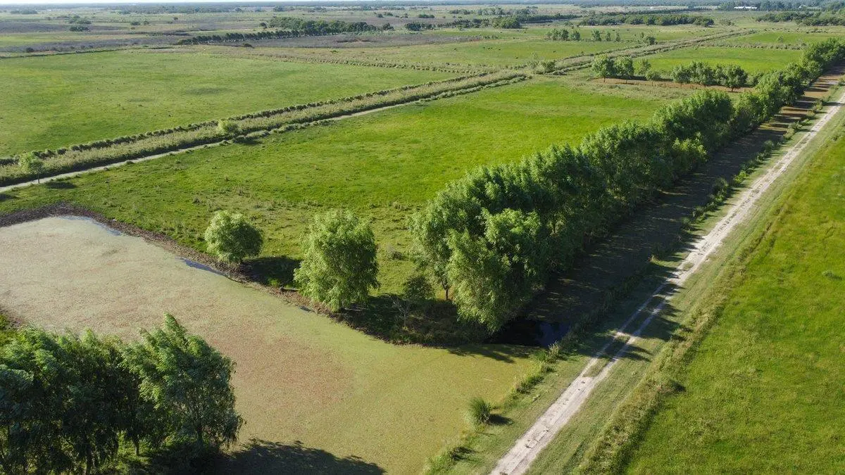 VENTA LOTE COMERCIAL LA MANSA GENERAL MADARIAGA 2