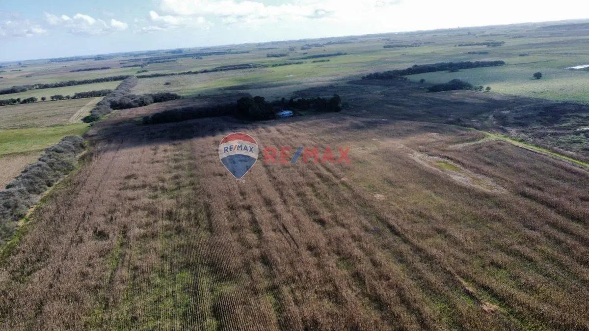CAMPO VENTA 32 HECTAREAS EN GENERAL MADARIAGA 4