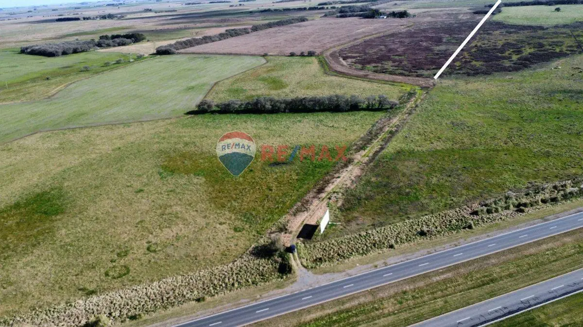 CAMPO VENTA 32 HECTAREAS EN GENERAL MADARIAGA 3