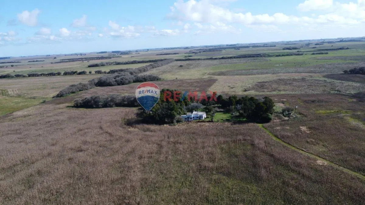 CAMPO VENTA 32 HECTAREAS EN GENERAL MADARIAGA 2