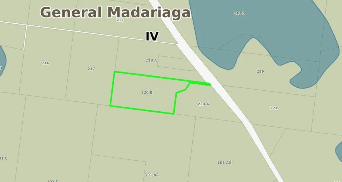 CAMPO VENTA 32 HECTAREAS EN GENERAL MADARIAGA 5